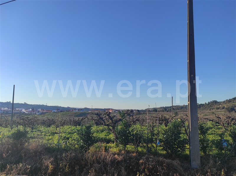 Terreno para Construção  Bombarral, Delgada - 1295941 - 6