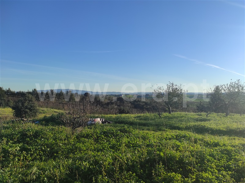 Terreno para Construção  Bombarral, Delgada - 1295941 - 7