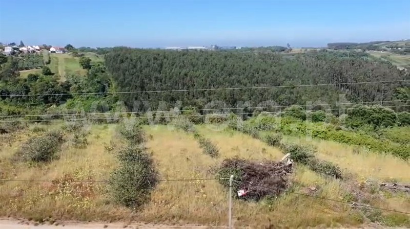 Terreno para Construção / Bombarral, Carvalhal