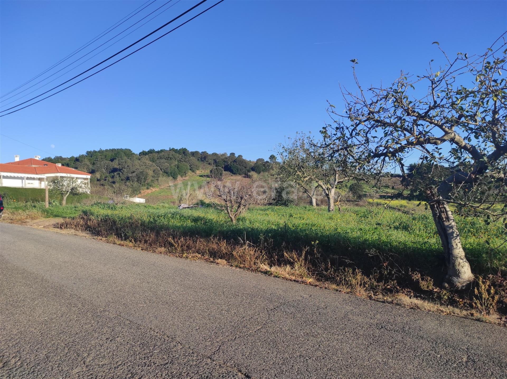 Land for sale in Bombarral, Portugal — €125,000
