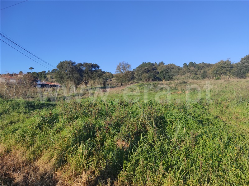 Terreno para Construção / Bombarral, Roliça