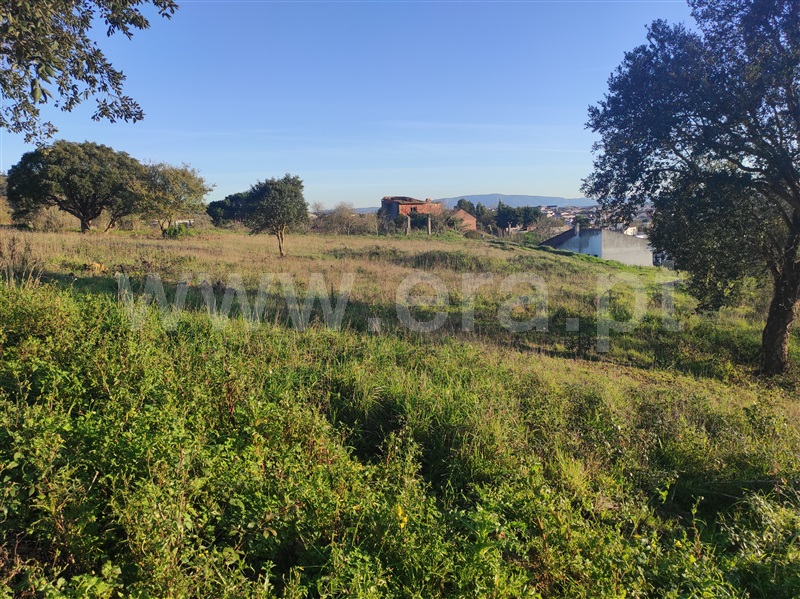 Terreno para Construção  Bombarral, Delgada - 1295928 - 5