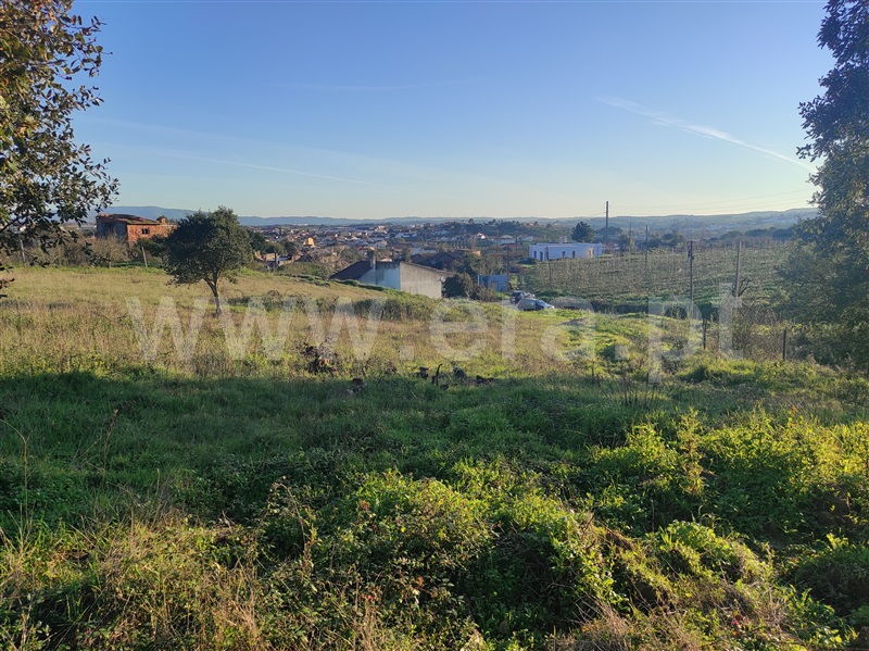 Terreno para Construção  Bombarral, Delgada - 1295928 - 9