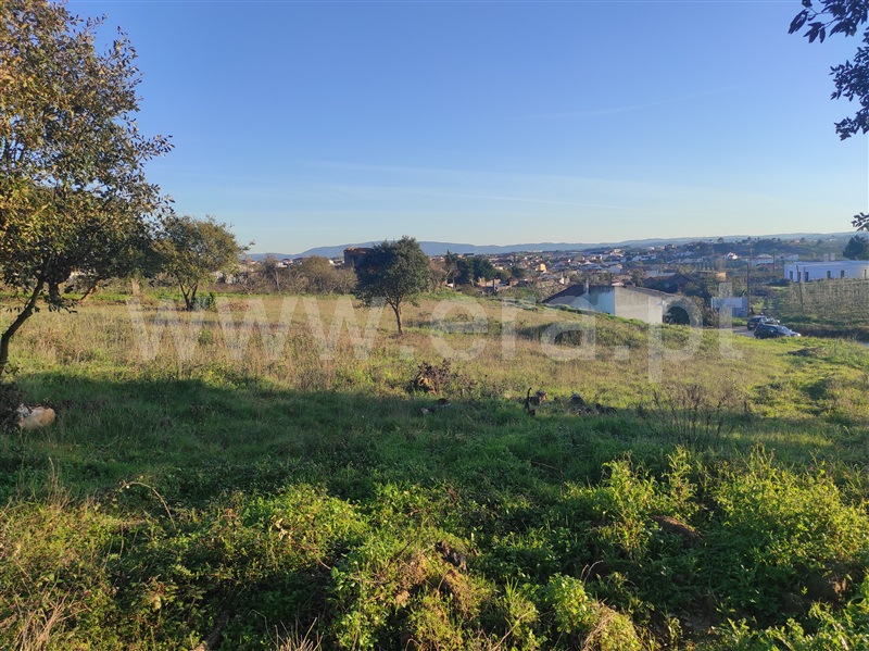 Terreno para Construção  Bombarral, Delgada - 1295928 - 10