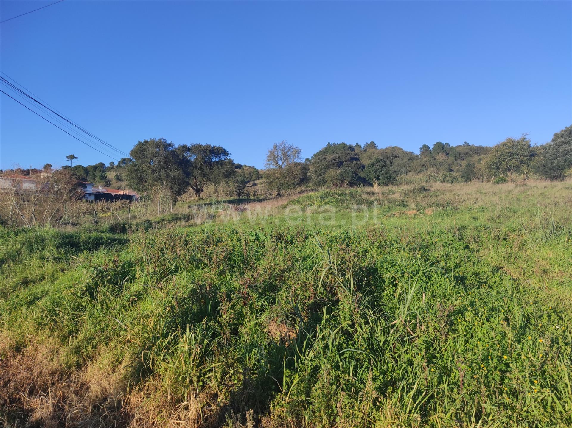 Land for sale in Bombarral, Portugal — €110,000