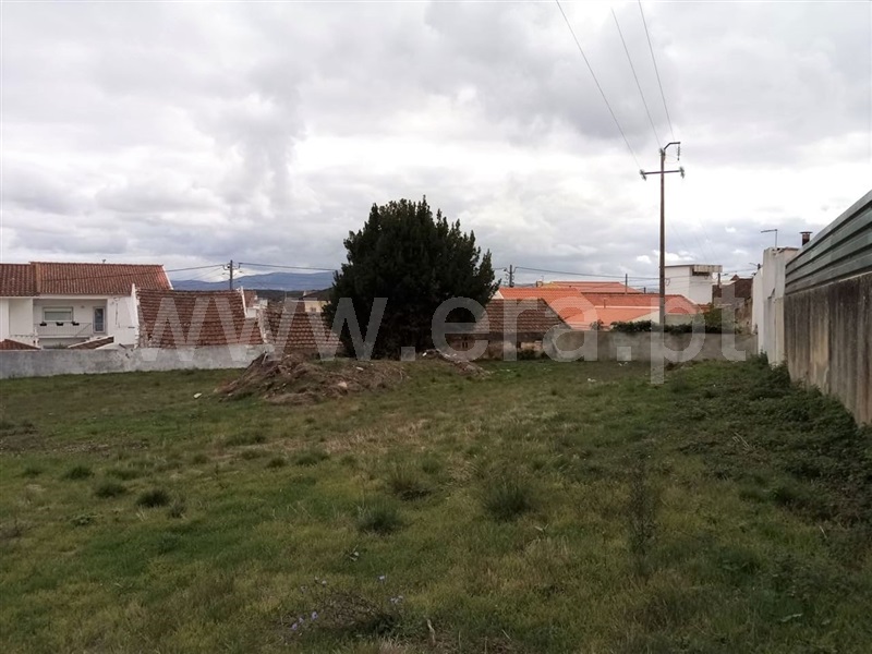 Terreno para Construção  Bombarral, Vale Covo - 1042550 - 3
