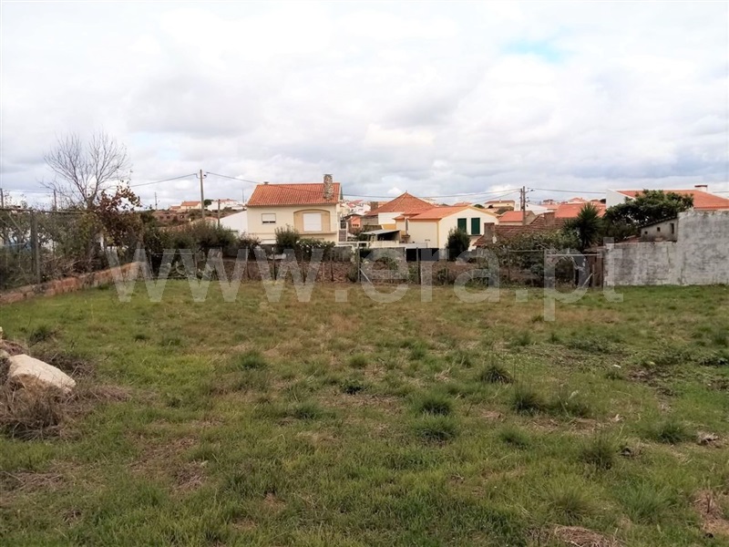 Terreno para Construção  Bombarral, Vale Covo - 1042550 - 4