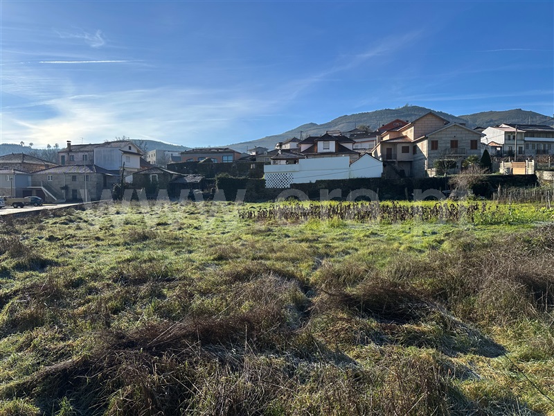 Terreno para Construção  Boticas, Boticas e Granja - 1456033 - 4