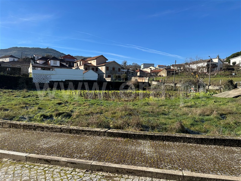 Terreno para Construção  Boticas, Boticas e Granja - 1456033 - 5