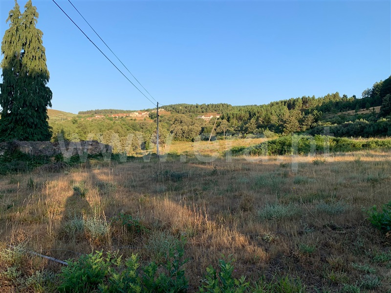 Terreno para Construção  Boticas, Boticas - 1260834 - 1