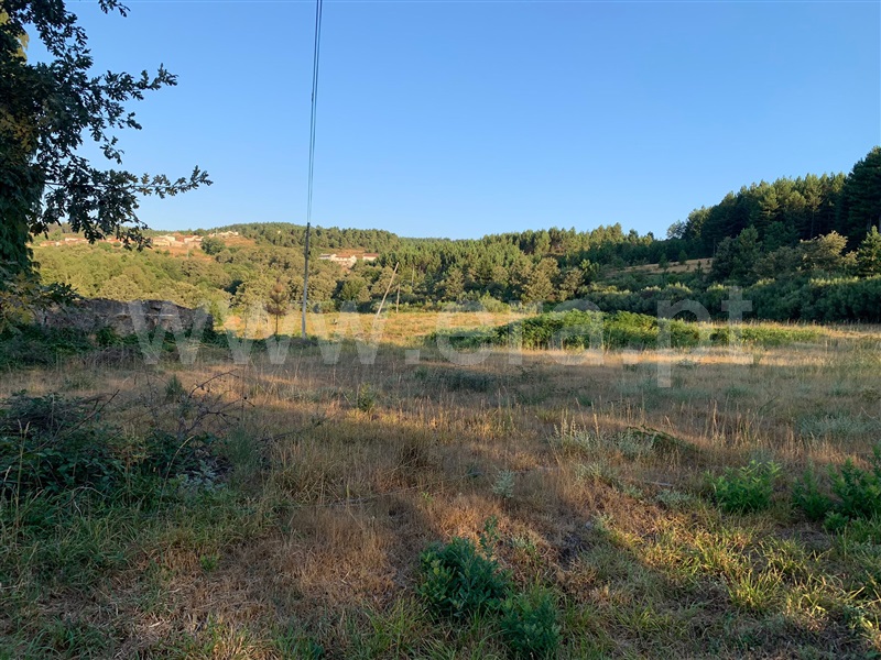 Terreno para Construção  Boticas, Boticas - 1260834 - 2