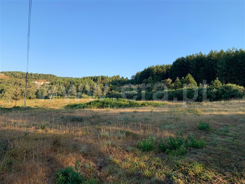Terreno para Construção / Boticas, Boticas