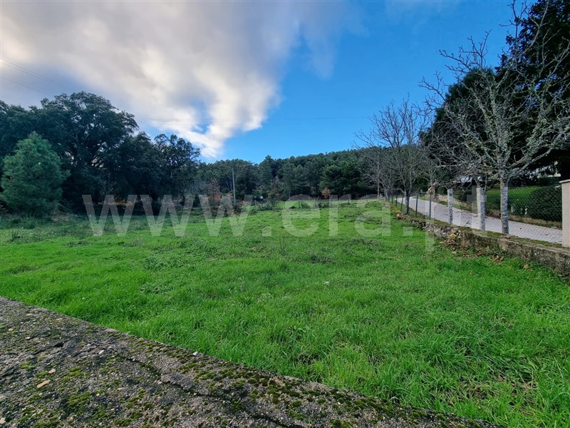 Terreno para Construção  Boticas, Pinho - 1191451 - 9