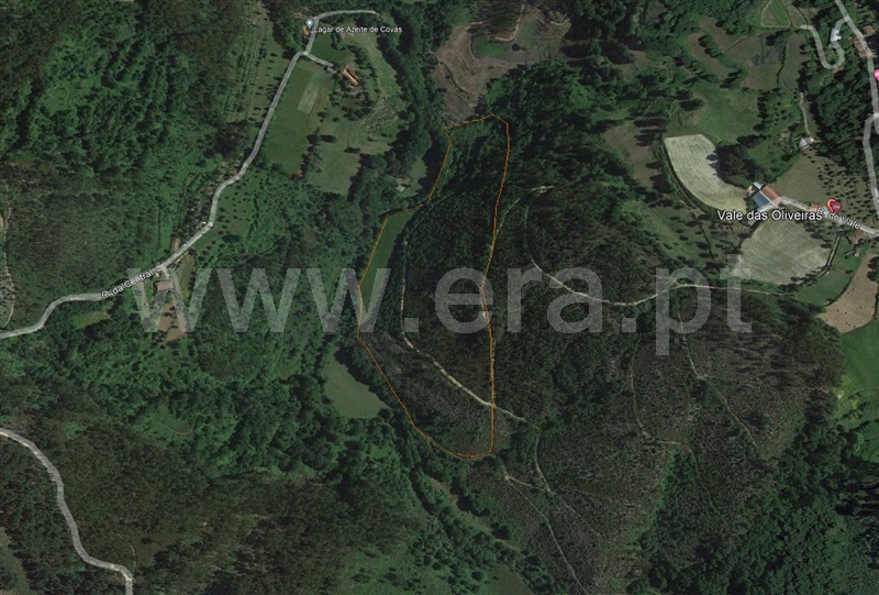 Terreno para Construção / Cabeceiras de Basto, Abadim