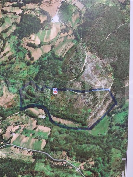 Terreno para Construção  Cabeceiras de Basto, Abadim - 1289856 - 2