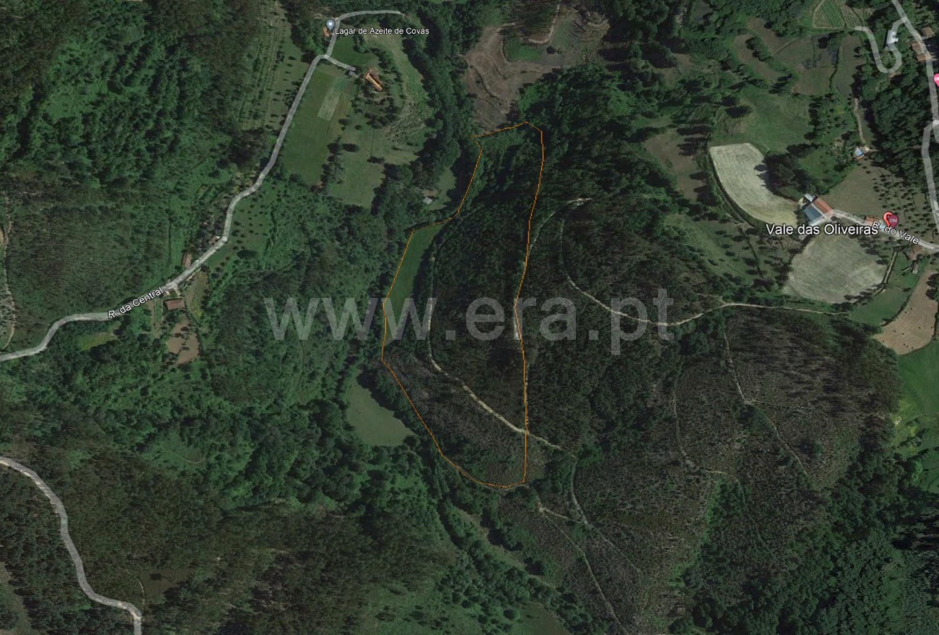 Land for sale in Cabeceiras de Basto, Portugal — €100,000