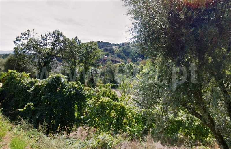 Terreno para Construção / Cabeceiras de Basto, Arco de Baúlhe e Vila Nune