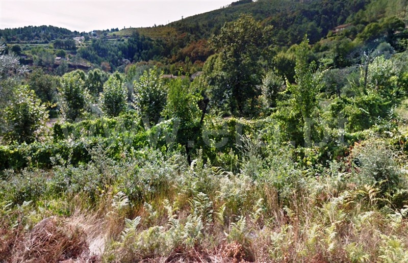 Terreno para Construção  Cabeceiras de Basto, Arco de Baúlhe e Vila Nune - 1141997 - 2