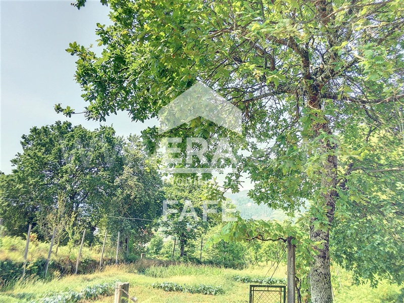 Terreno  Cabeceiras de Basto - 1388271 - 4