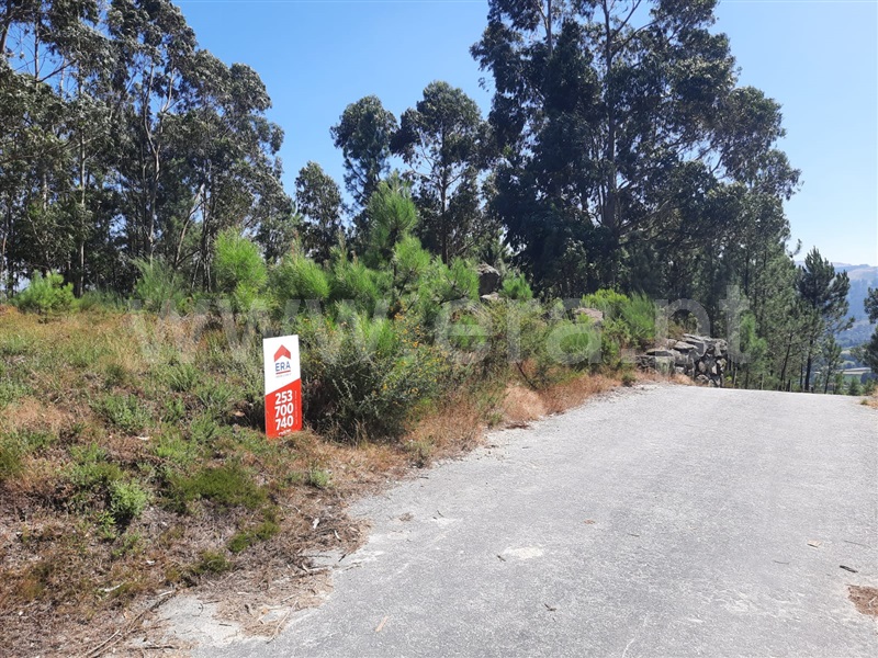 Terreno para Construção  Cabeceiras de Basto - 761091 - 3