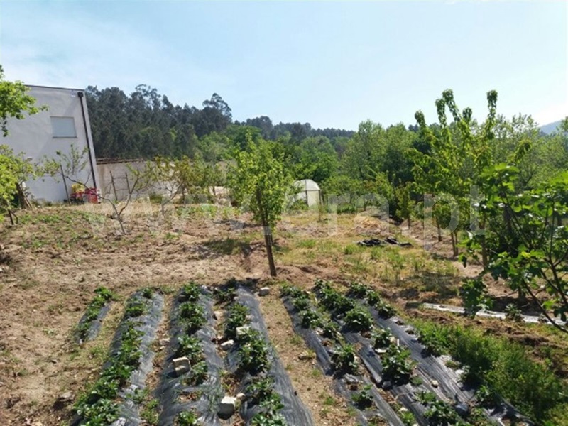 Terreno para Construção / Cabeceiras de Basto, Refojos de Basto, Outeiro e Painzela