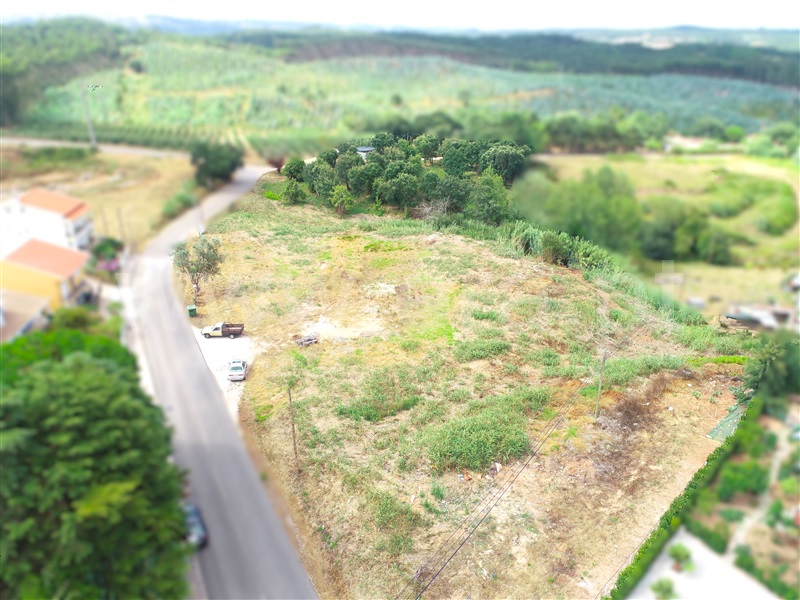 Terreno / Cadaval, Cadaval e Pêro Moniz