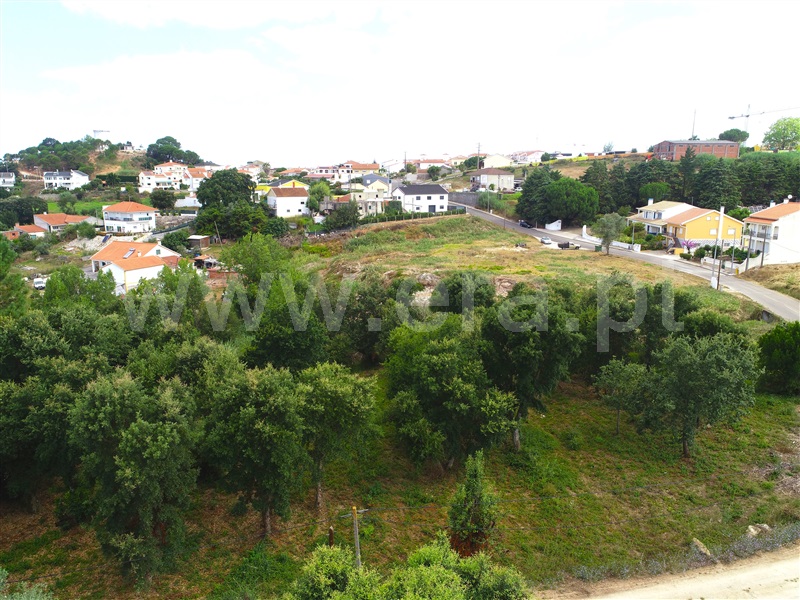 Terreno  Cadaval, Cadaval - 1497756 - 5