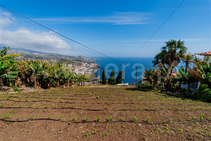 Terreno para Construção / Câmara de Lobos, Câmara de Lobos - Več
