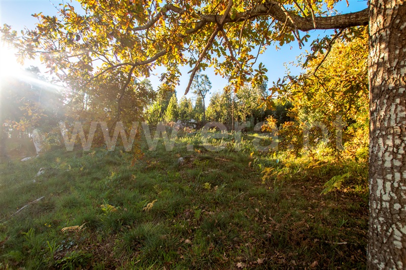 Terreno para Construção  Caminha, Âncora - 1129845 - 5