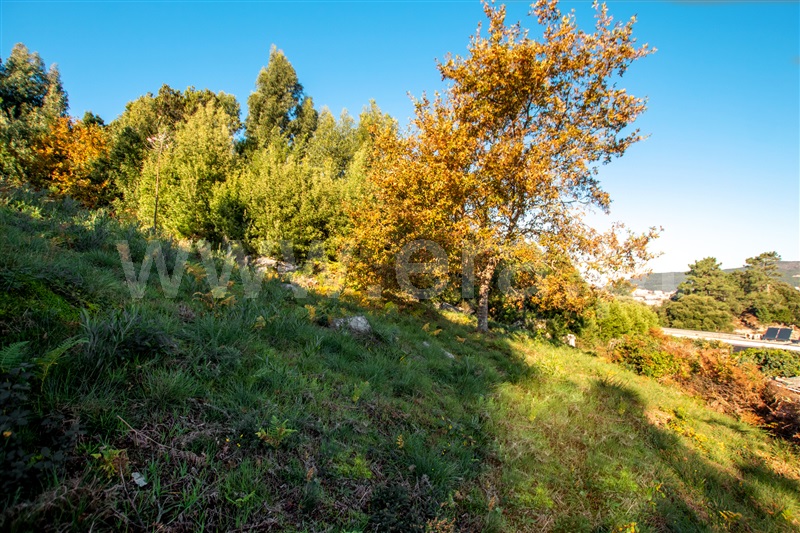 Terreno para Construção  Caminha, Âncora - 1129845 - 9