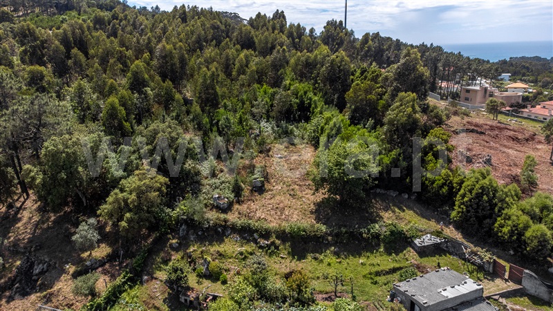 Terreno para Construção  Caminha, Âncora - 1129845 - 15