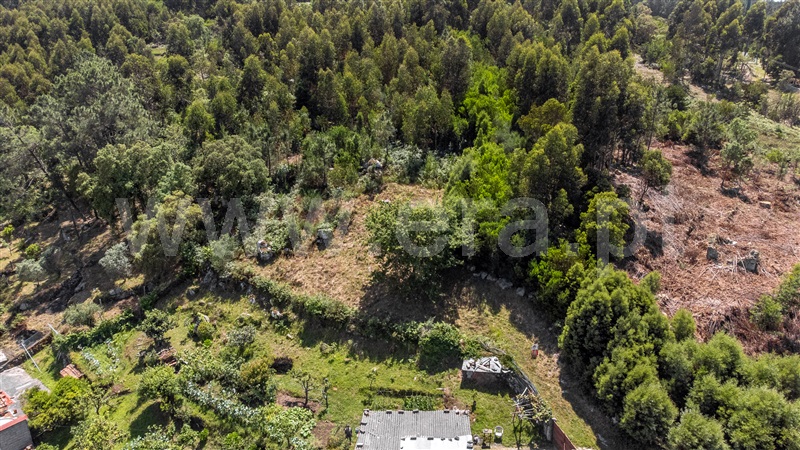 Terreno para Construção  Caminha, Âncora - 1129845 - 20