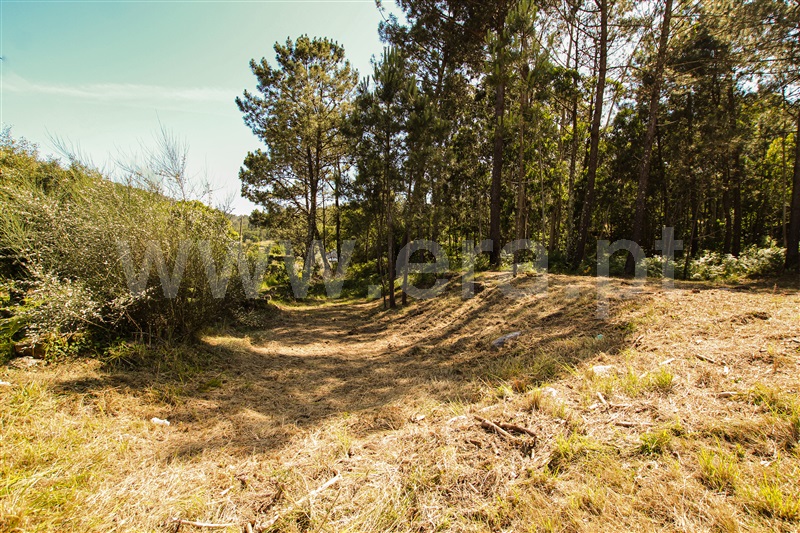 Terreno  Caminha, Âncora - 1161849 - 5