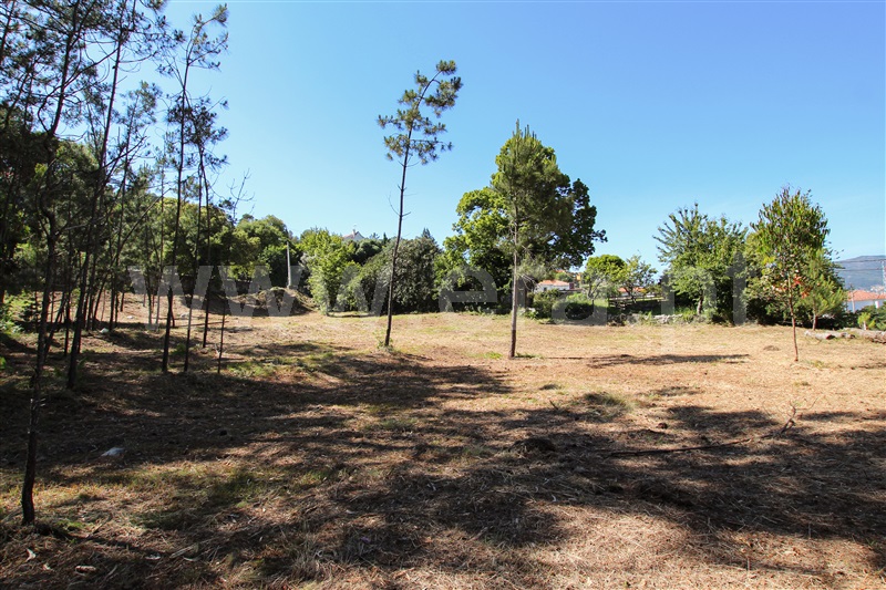 Terreno  Caminha, Âncora - 1161849 - 6