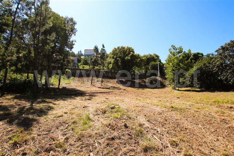 Terreno  Caminha, Âncora - 1161849 - 7