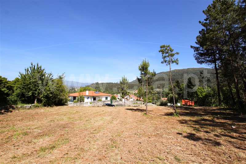 Terreno  Caminha, Âncora - 1161849 - 8