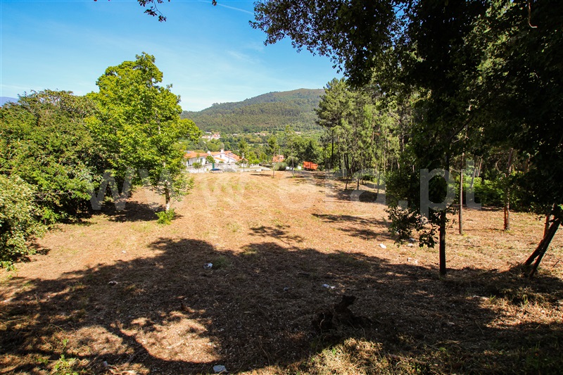 Terreno  Caminha, Âncora - 1161849 - 11
