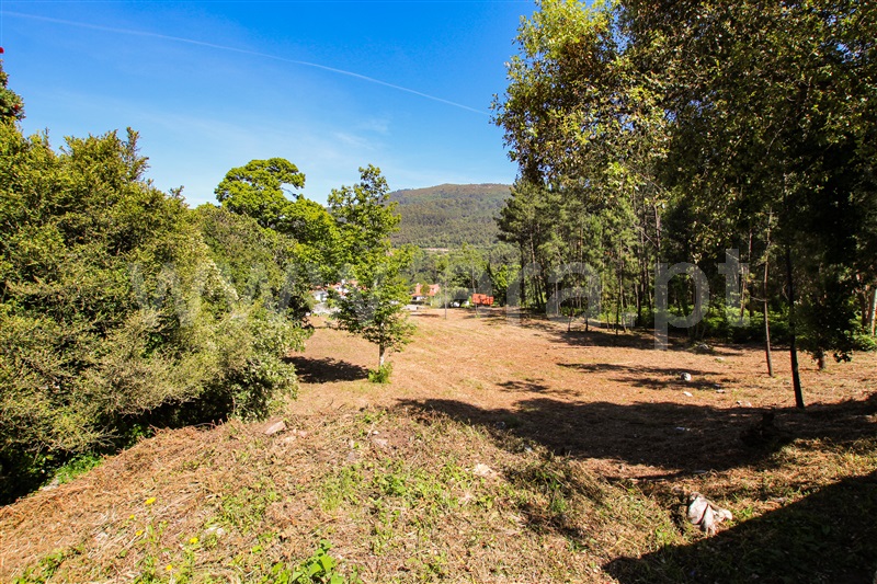 Terreno  Caminha, Âncora - 1161849 - 12