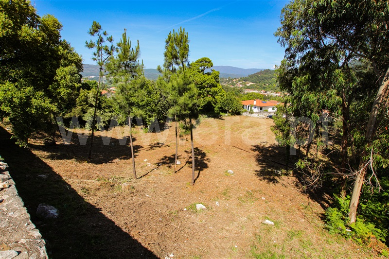 Terreno  Caminha, Âncora - 1161849 - 13
