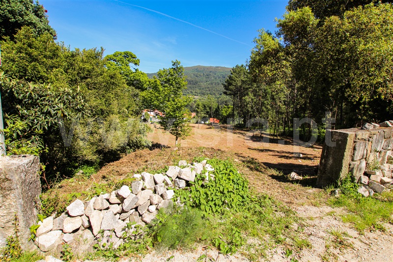 Terreno  Caminha, Âncora - 1161849 - 15