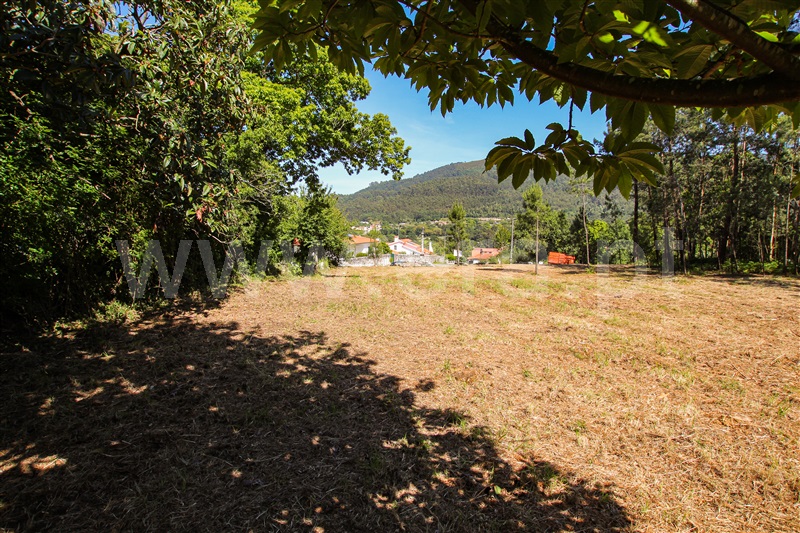 Terreno  Caminha, Âncora - 1161849 - 16