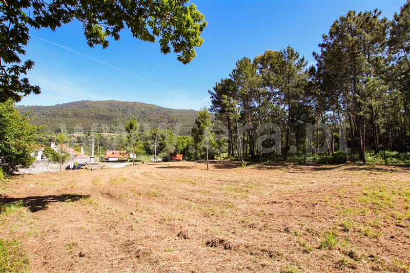 Terreno  Caminha, Âncora - 1161849 - 17
