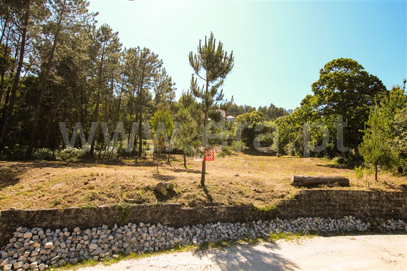 Terreno  Caminha, Âncora - 1161849 - 1