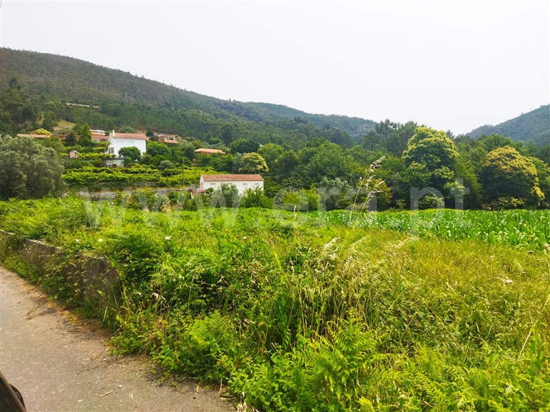 Terreno para Construção  Caminha, Argela - 1334760 - 3