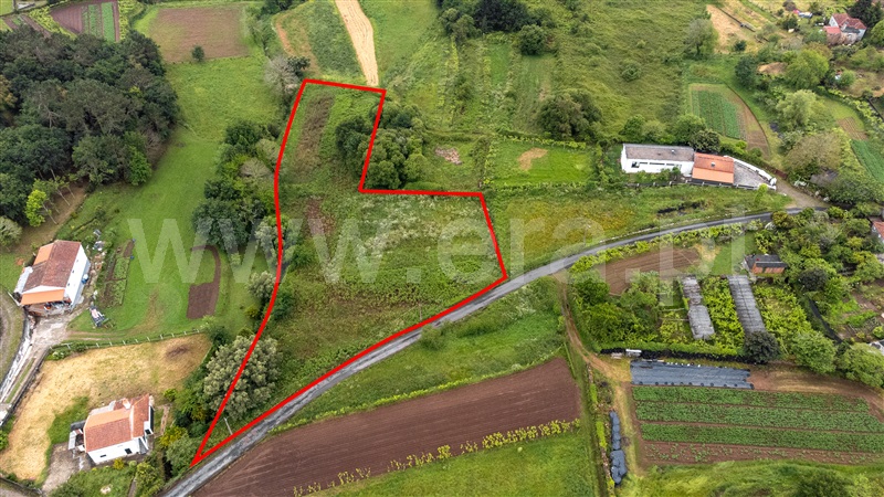 Terreno para Construção / Caminha, Argela