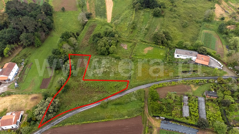 Terreno para Construção / Caminha, Argela