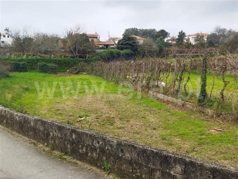 Terreno para Construção  Caminha, Argela - 1335429 - 3