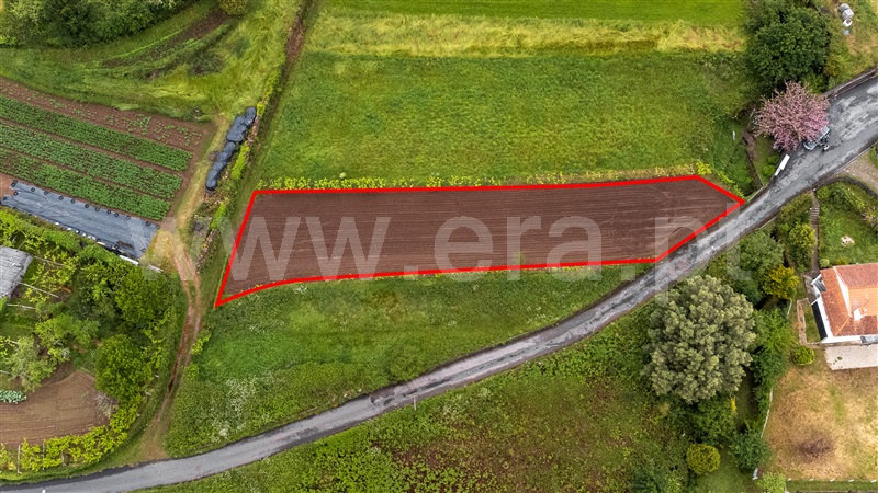 Terreno para Construção / Caminha, Argela