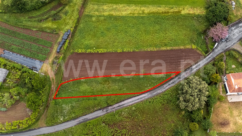 Terreno para Construção / Caminha, Argela