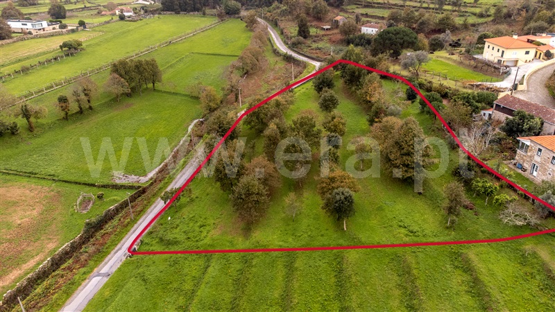 Terreno para Construção  Caminha, Caminha (Matriz) e Vilarelho - 1272138 - 8